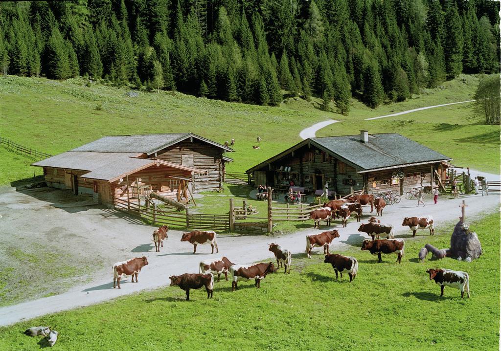 Palfnerhof Appartements Sankt Johann im Pongau Exteriör bild
